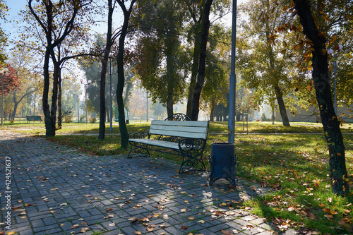 bench in autumn park