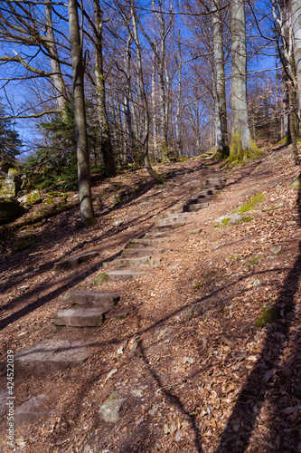 Wallpaper Mural The hiking trail around the Battert mountain in Baden Baden. A really beautiful trail. Baden Wuerttemberg, Germany, Europe Torontodigital.ca