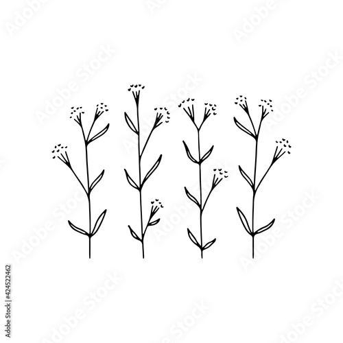 Vector minimalistic floral icons. Hand drawn branches with leaves.