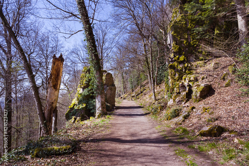 The hiking trail around the Battert mountain in Baden Baden. A really beautiful trail. Baden Wuerttemberg, Germany, Europe