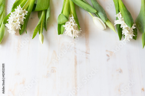 hyacinth and tulip border on white wood background