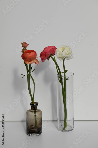 Ranunculus flowers in a glass vase on a light background. Flower concept.