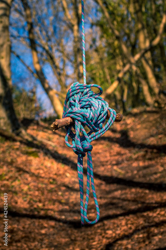 A makeshift swing made of thick blue rope threaded through a branch. Rope pattern with pink, white and navy blue stripe. The swing hangs in a quiet forest visible in the distance in the form of an ear