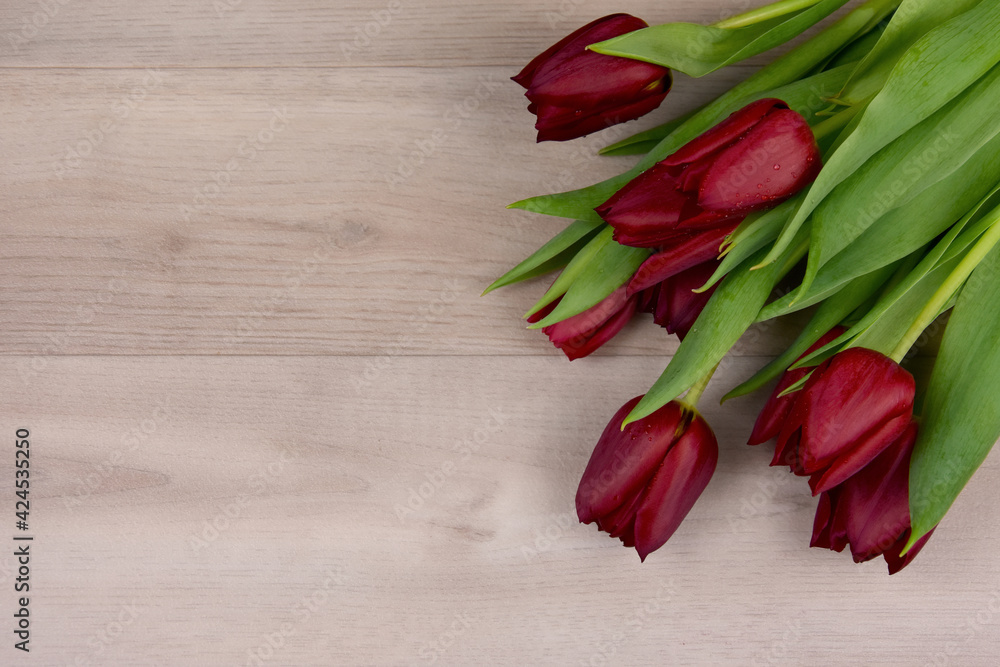 Beautiful red tulips isolated on a wooden background top view stock images. Fresh dewy tulips on a wood background with copy space for text stock photo. Bouquet of red on the table tulips frame images
