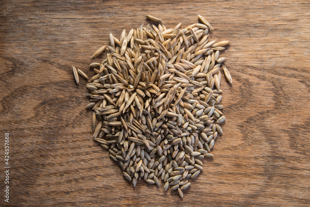 Close up of winter rye and oat seeds on wooden table