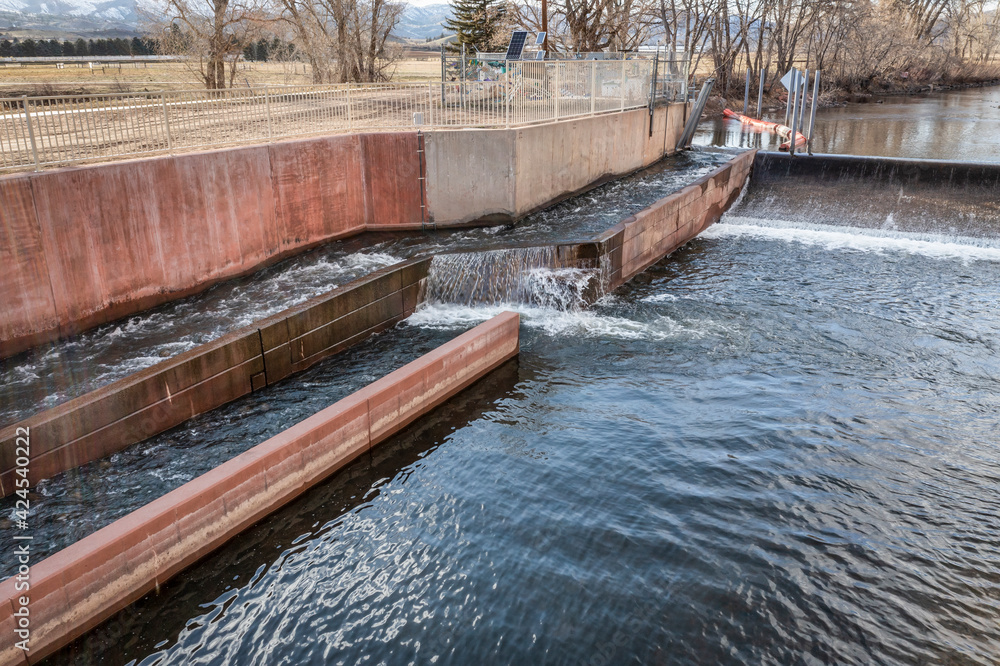 fish ladder at water diversion dam - Watson Lake Dam on the Poudre River in northern Colorado, aerial view of early spring scenery, wildlife management concept fish ladder at water diversion dam - Watson Lake Dam on the Poudre River in northern Colorado, aerial view of early spring scenery, wildlife management concept