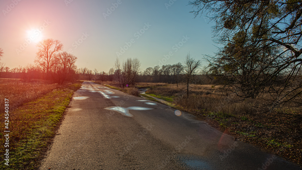 horizon, meadow and asphalt road evening landscape. horizon, meadow and asphalt road evening landscape.
