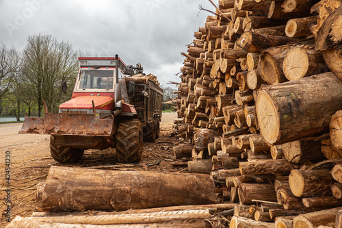 maquinaria-pesada - Fotomural con deforestation y logging, wood y structure  - Stica Vinilos decorativos