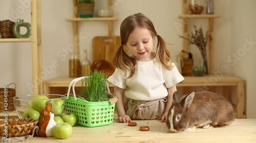 Cute little girl at home in the kitchen feeds the rabbit fresh grass photo