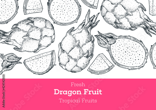 Dragon fruit hand drawn package design. Vector illustration. Sketch for design, brochure illustration. Vintage retro design. Pitaya frame illustration. Can used for packaging design.