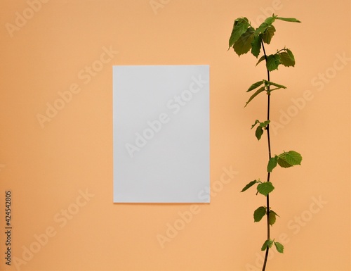 white paper with leaves