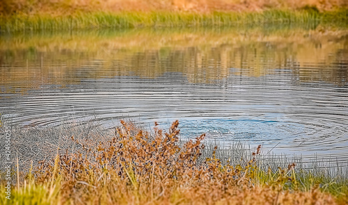 Ripples of the water of pond with landscape picture of wetland ground and water with grass and plants in the Indian subcontinent , Asia. December 2020.