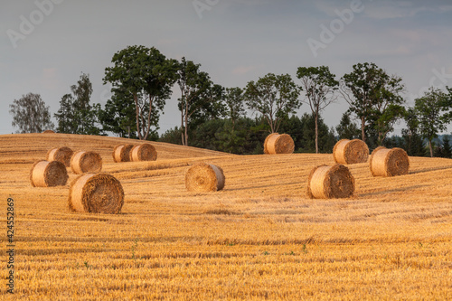 Fototapeta Naklejka Na Ścianę i Meble -  View of the Masurian fields.