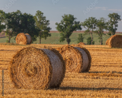 Fototapeta Naklejka Na Ścianę i Meble -  View of the Masurian fields.