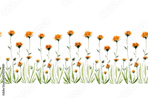 Fototapeta Naklejka Na Ścianę i Meble -  Seamless ribbon border of flowers and dandelion buds in watercolor on a white background. Design for fabric, packaging, frame, adhesive tape, paper