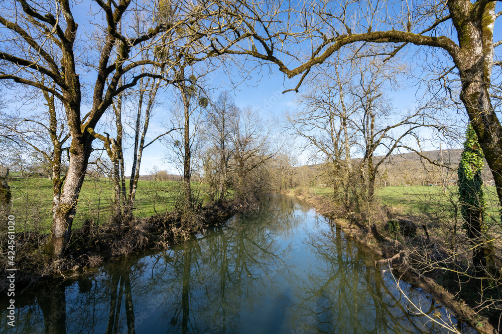 une rivière bordés d'arbre en hiver 