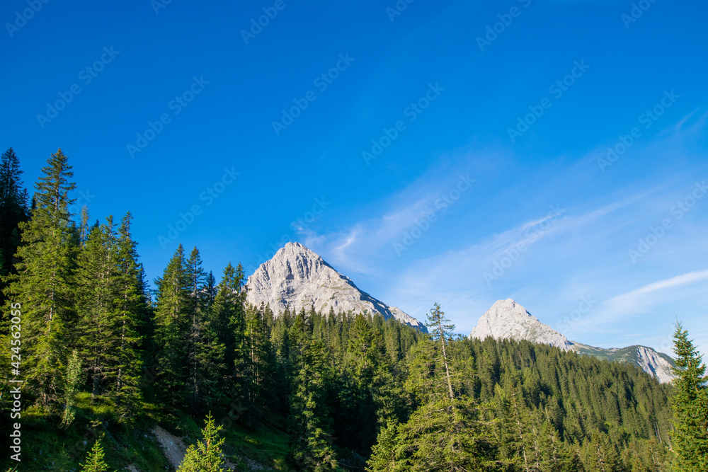 landscape in the morning (Ehrwald, Tyrol, Austria)