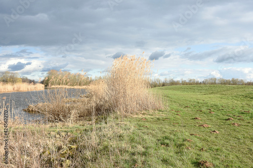 rain air above the reed banks of the Oude IJssel river in March