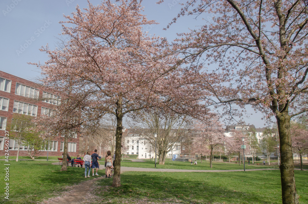 Der Park im Aachener Justizzentrum im Frühjahr