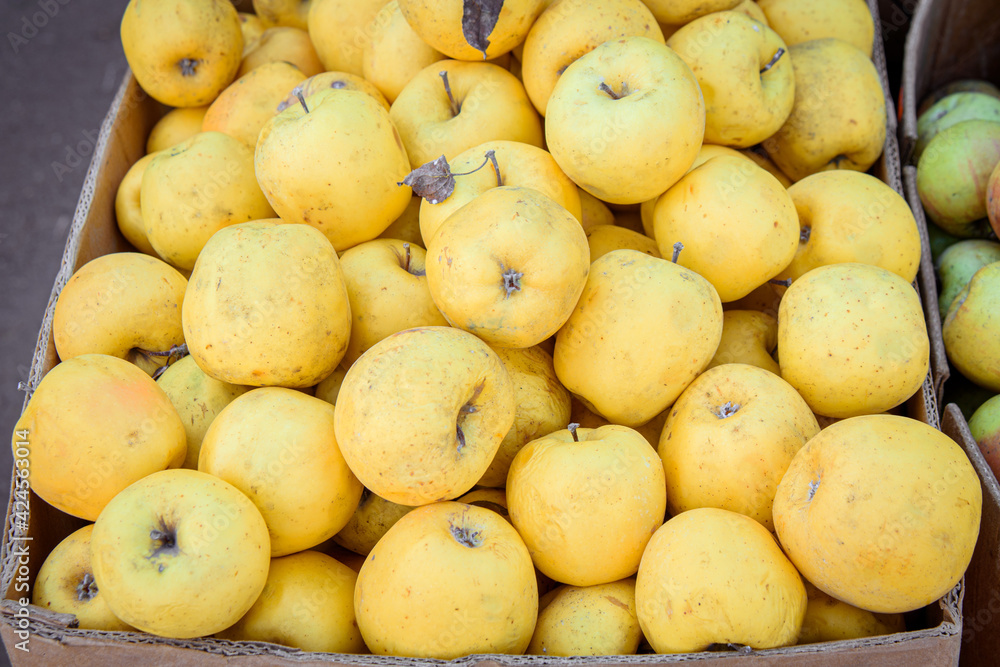 Juicy yellow apples in a box. The apples are sold at the market. Juicy yellow apples in a box. The apples are sold at the market.