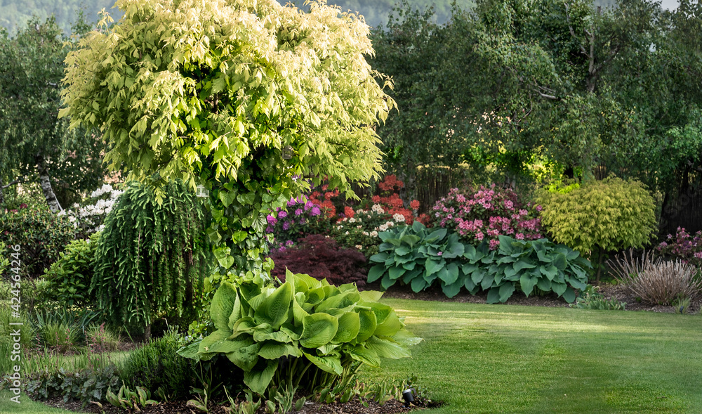 Fototapeta premium wiosenny ogród, piękny ogród, ogród, garden, beautiful garden, zielony ogród, nowoczesny ogród, 