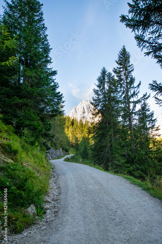 road in mountains (Ehrwald, Tyrol, Austria) © Franziska Brueckmann