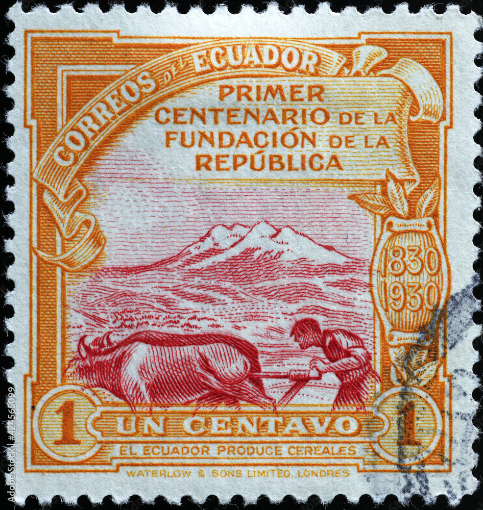 Farmer and oxen on vintage stamp of Ecuador