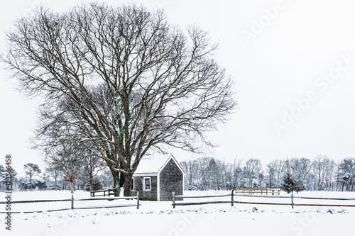 New England Winter in West Tisbury, Martha's Vineyard