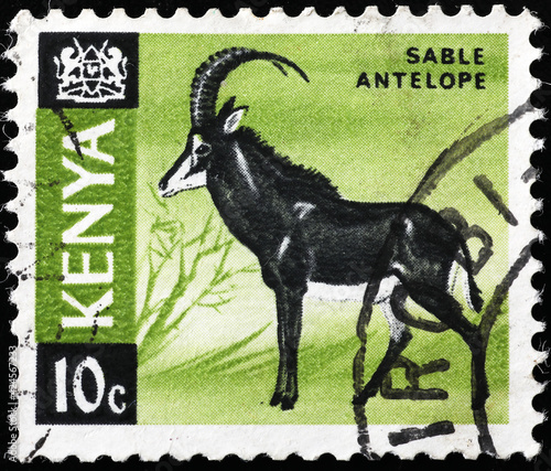 Sable antelope on kenyan postage stamp