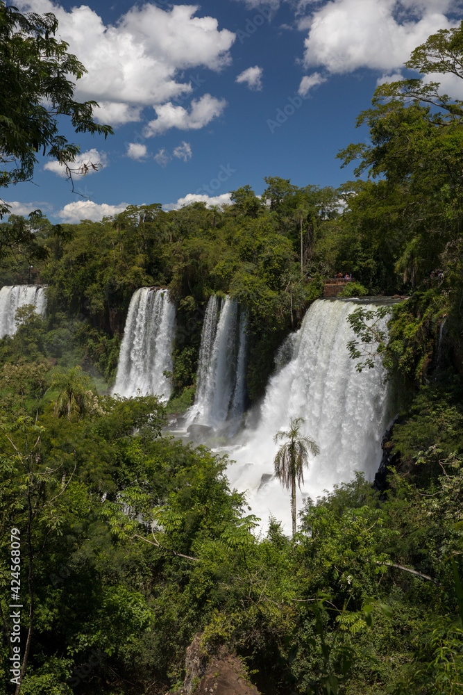 The Iguazu waterfalls in the frontier between Argentina and brazil. View of the falls in the tropical jungle. The falling white water and vegetation foliage.