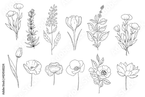 Botanical set of black and white graphic flowers. Floral elements for creating logos and wedding decorations.