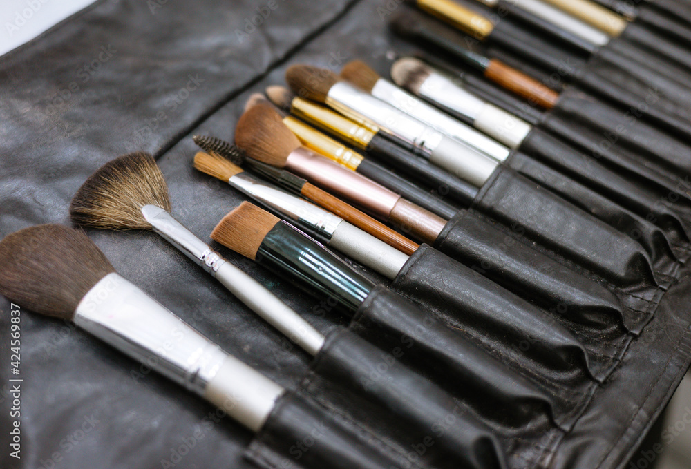 set of makeup brushes in a black case, a concept of a make-up and a visit to a beauty salon set of makeup brushes in a black case, a concept of a make-up and a visit to a beauty salon