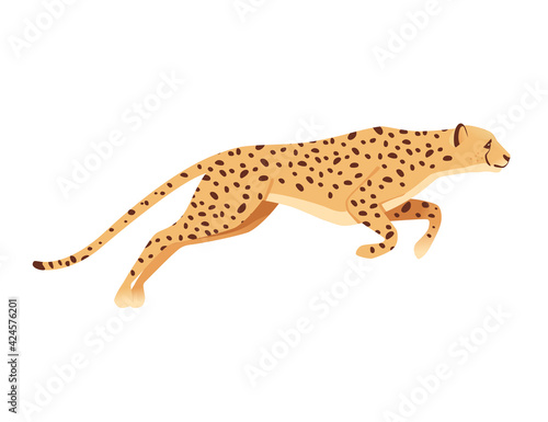 Cheetah big wild cat african savannah predator animal cartoon design character vector illustration on white background