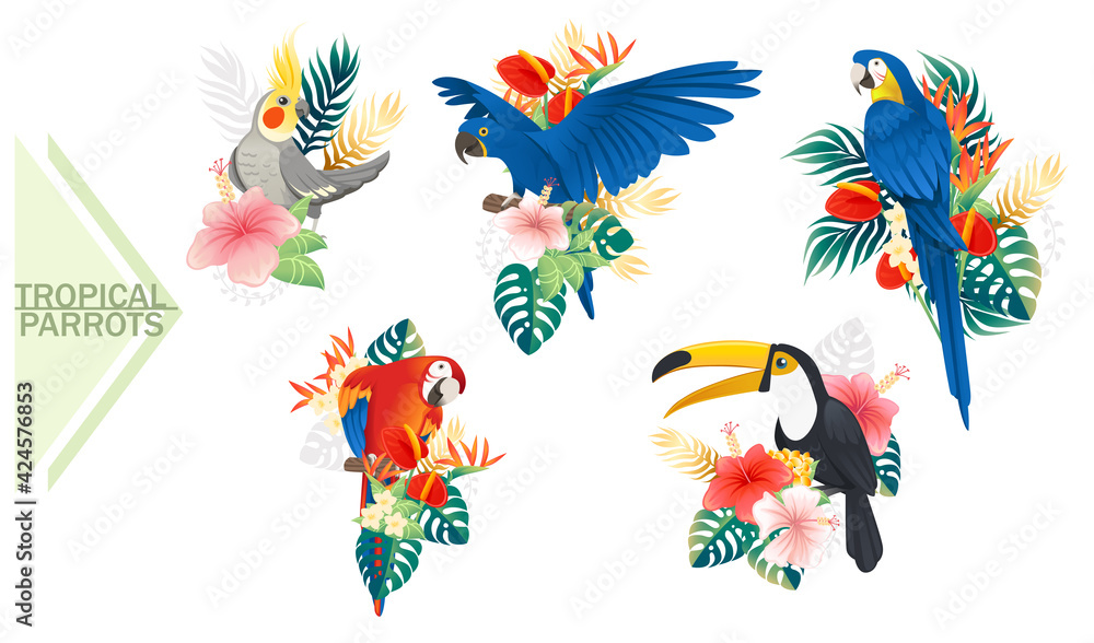 Set of exotic parrot birds with red flowers and green tropical leaves cartoon animal design tropical fauna vector illustration on white background