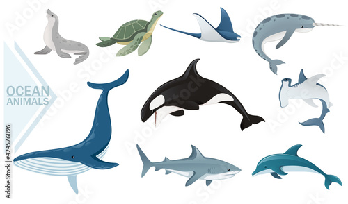 Set of ocean animals sharks whale turtle and fur seal wildlife underwater animals vector illustration on white background