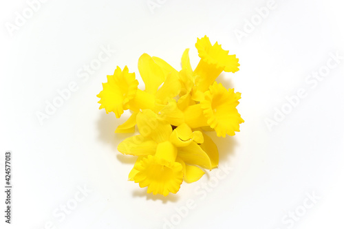 黄色の水仙