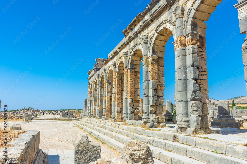 Obraz premium Roman ruins of Volubilis, Morocco