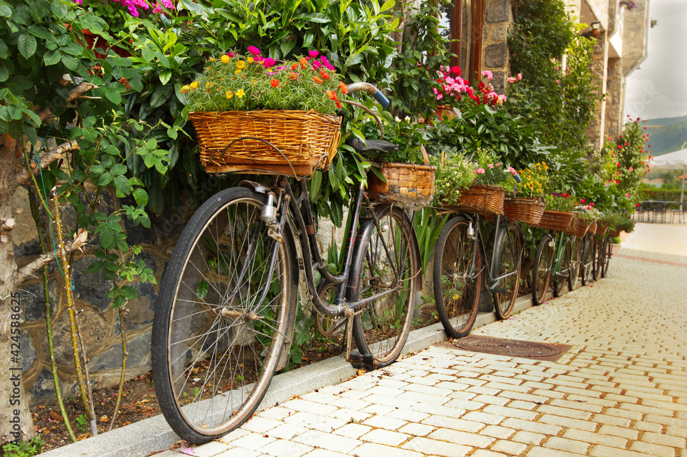 old bicycles lined up to hold flower baskets. Decor. Yard.