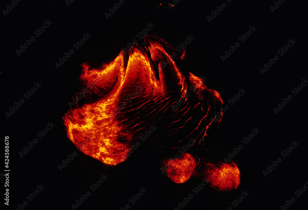 Coulées de lave du volcan Kilauea à Hawaii