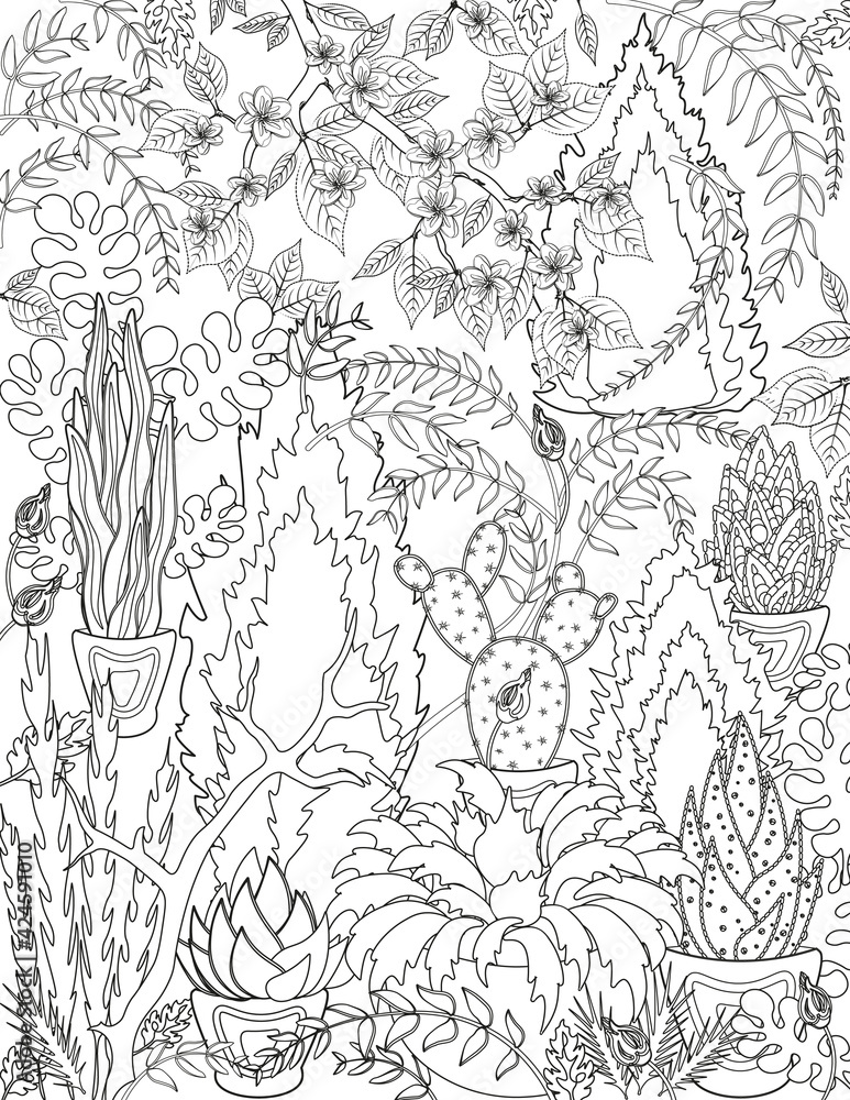 Fototapeta premium Coloring for adults. Weaving plants, cacti and flowers.