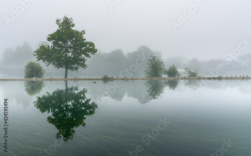 morning on the foggy river © Ammar