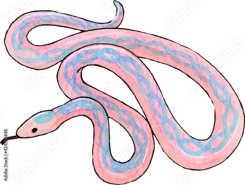 illustration of a cartoon pink and blue snake. Hand draw