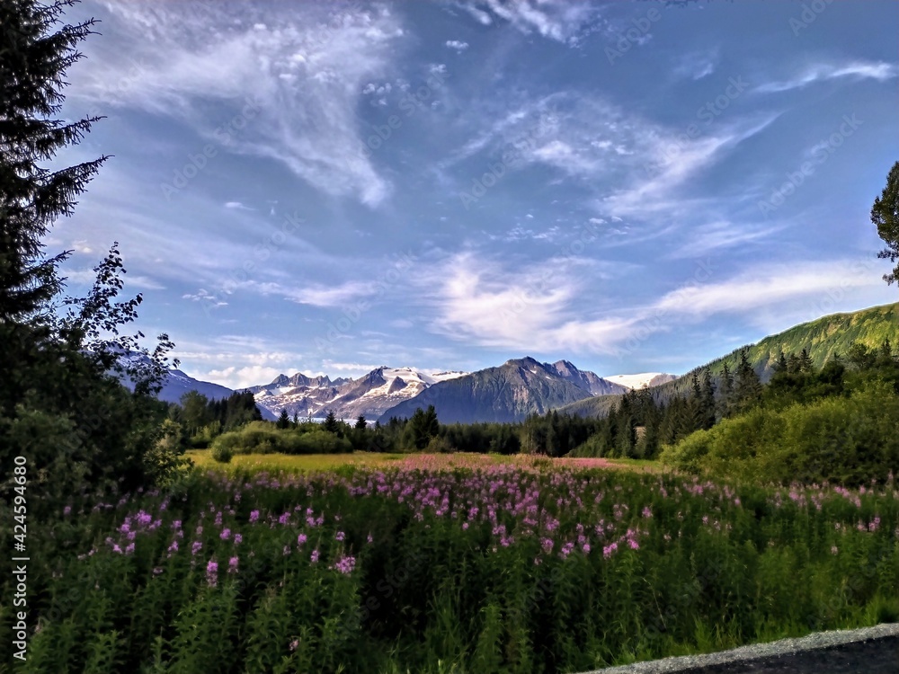 Obraz premium landscape in the summer