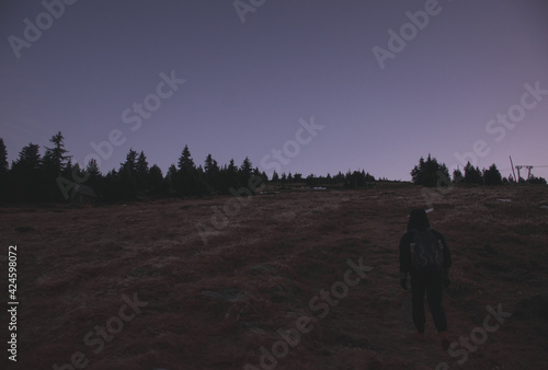 Image of alone traveller in forest during dusk. Dangerous travel trip concept.