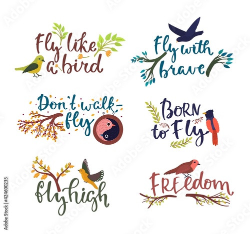 Card design with bird logo, quote text vector illustration. Decorative holida...