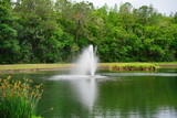 A small pond in a community of Florida