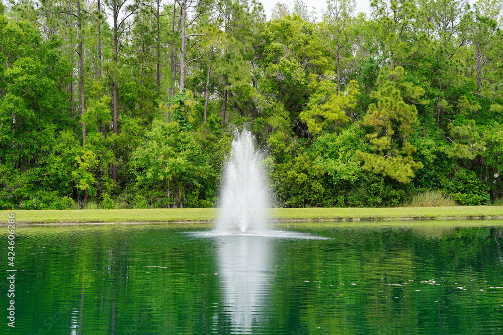 Beautiful blue pond in a florida community	