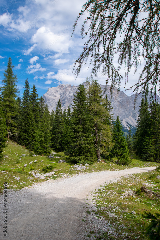 hiking path in the mountains (Ehrwald, Tyrol, Austria)