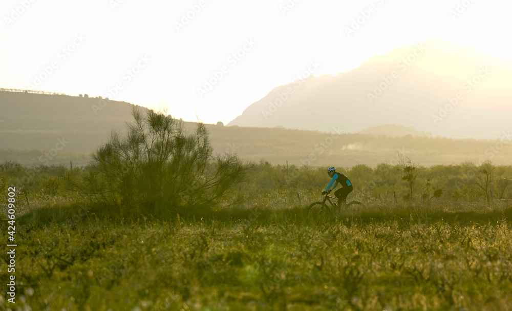 Cyclist at sunset in the vineyard and mountain area with his bike.