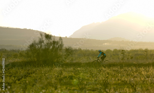 Cyclist at sunset in the vineyard and mountain area with his bike.